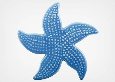 Starfish Spotted – Blue – 5×5