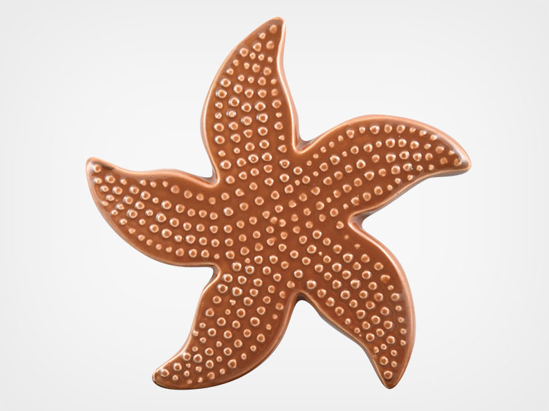 Starfish Spotted – Brown – 5×5