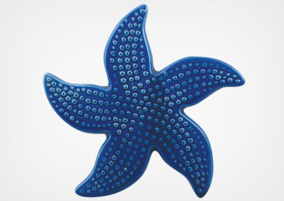 Starfish Spotted – Royal Blue – 5×5