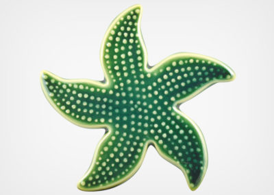 Starfish Spotted – Teal – 5×5