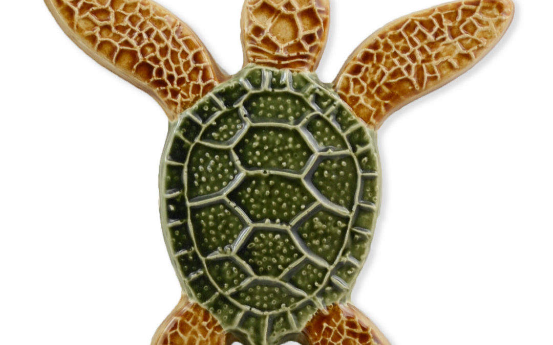 Turtle Both Up – Multi – 5×5