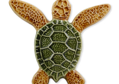 Turtle Both Up – Multi – 5×5