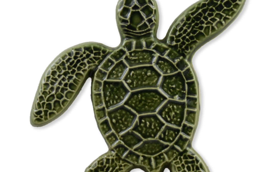 Turtle Right Up – Green – 5×5