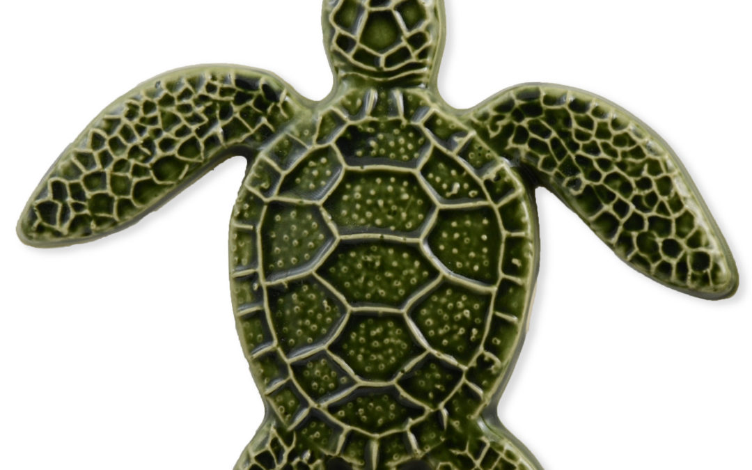 Turtle Straight – Green – 5×5