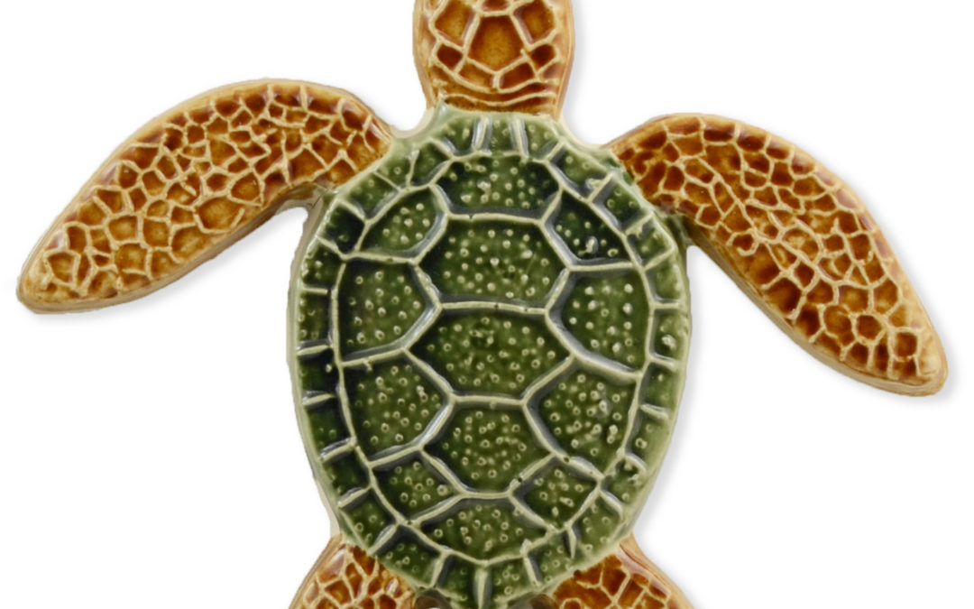 Turtle Straight – Multi – 5×5