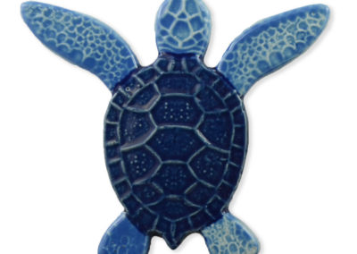 Turtle Both Up – Blue – 5×5
