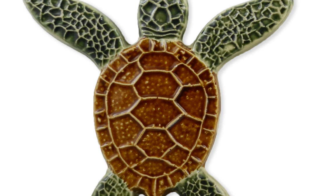 Turtle Both Up – Natural – 5×5