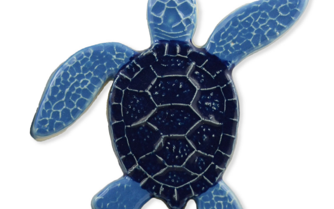 Turtle Right Up – Blue – 5×5