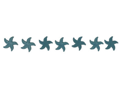 Starfish Step Marker – Aqua