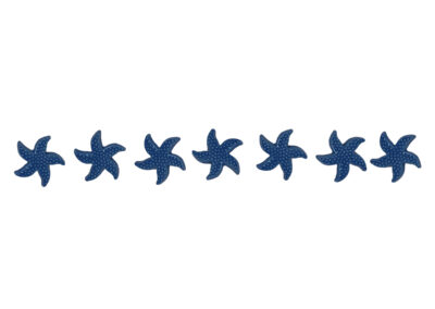 Starfish Step Marker – Blue