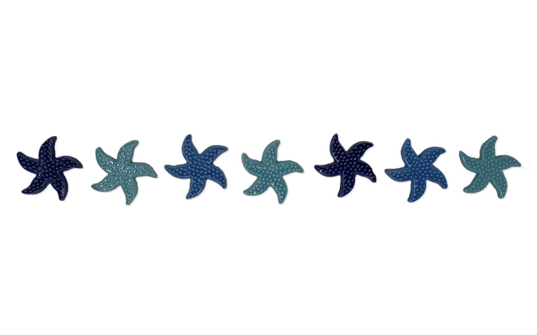 Starfish Step Marker – Multi