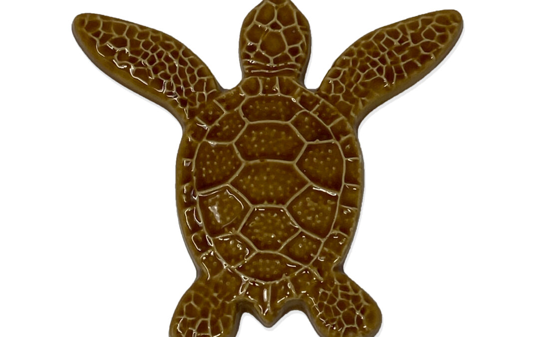 Turtle Both Up – Brown – 5×5