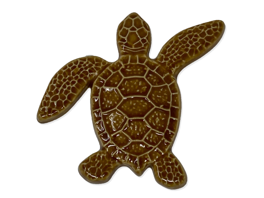 Turtle Right Up – Brown – 5×5
